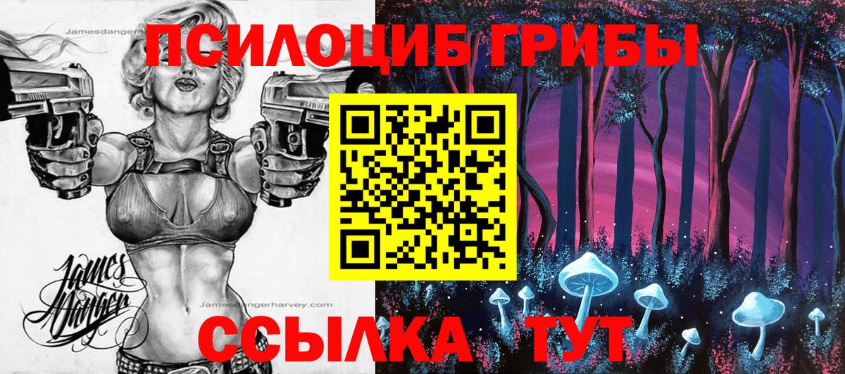Псилоцибиновые грибы мицелий Шарыпово